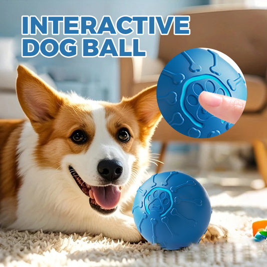 😍2025 LAST DAY SALE 50% OFF💥Buy 2 get 10% off 🔥Interactive Dog Ball
