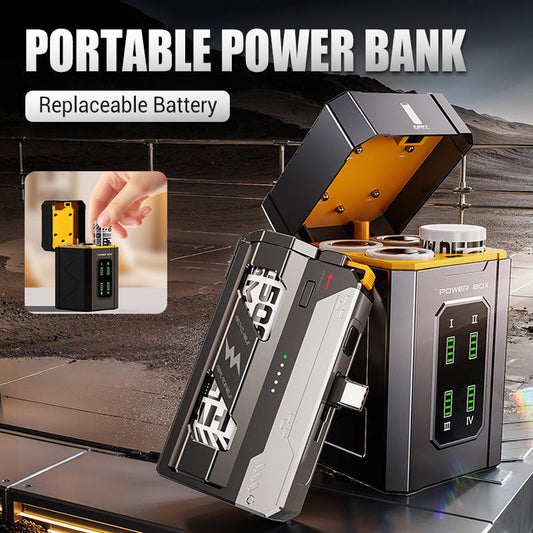 Portable Power Bank with Replaceable Battery