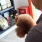 Flexible Gooseneck Clip for Attractive Pet Photos success