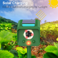 Solar Powered Infrared Sensor Ultrasonic Animal Repeller with Bursting Flashes