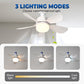 2-in-1 Remote-Controlled Ceiling Fan with LED Light