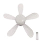 2-in-1 Remote-Controlled Ceiling Fan with LED Light