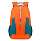 Large Capacity Waterproof Foldable Backpack