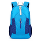 Large Capacity Waterproof Foldable Backpack