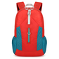 Large Capacity Waterproof Foldable Backpack