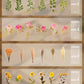 Big Size Dried Flowers Stickers Set