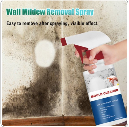 Mildew Cleaner Foam