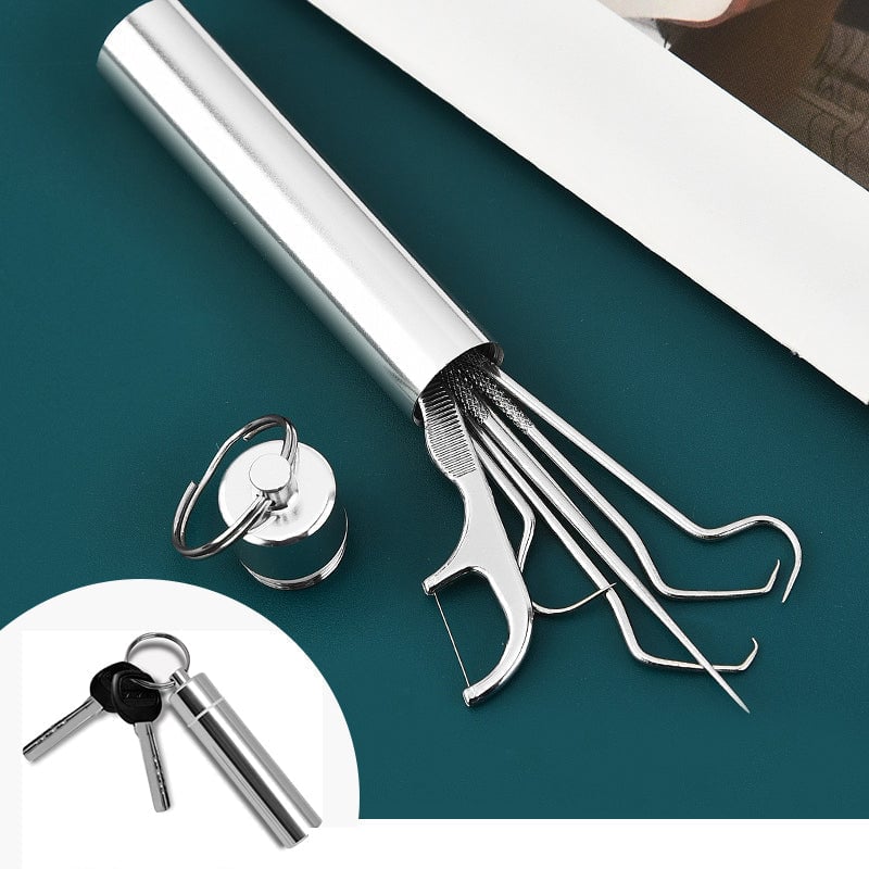 Stainless Steel Toothpick Set – furanshop