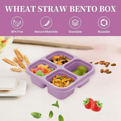 4 Compartments Bento Lunch Box